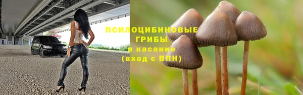 герыч Абаза